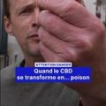 Attention aux dangers cachés du CBD
