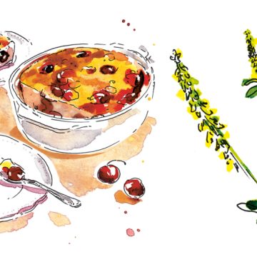Recette détaillée du clafoutis aux cerises et mélilot par Anne Etorre