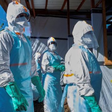 Le Virus Ebola et la Recherche de Traitements Efficaces