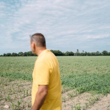 77620fea-191f-4d82-bf1d-4441a6675175 Dérégulations Environnementales dans le Projet de Loi Agricole