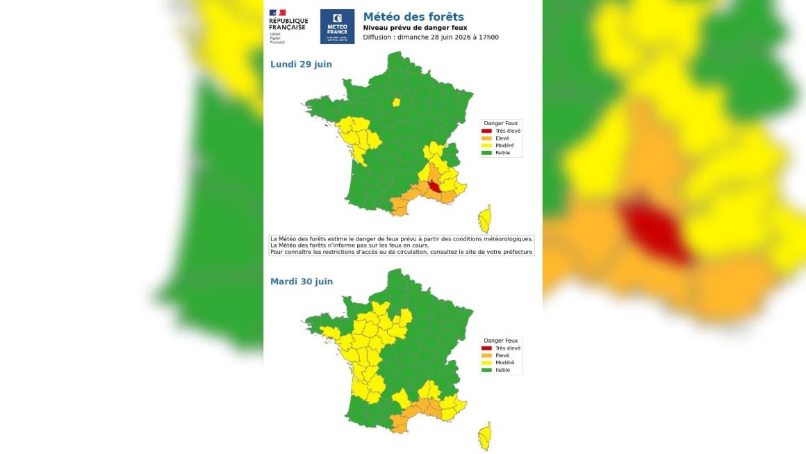 Risques accrus d’incendies de forêt en France