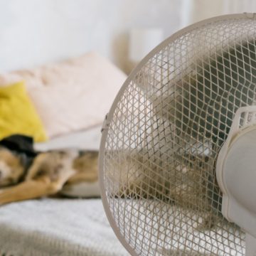 Guide des ventilateurs modernes pour 2026