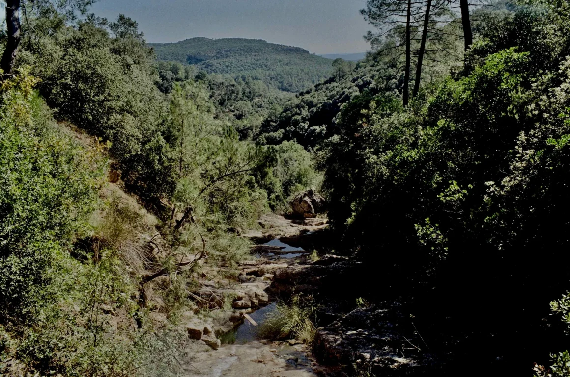 8acea11f-0af0-4145-bee3-f20ab3f61cee Lutte contre les pollutions invisibles dans les Cévennes