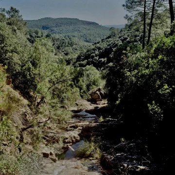 8acea11f-0af0-4145-bee3-f20ab3f61cee Lutte contre les pollutions invisibles dans les Cévennes