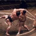 Le retour du sumo en France après trois décennies