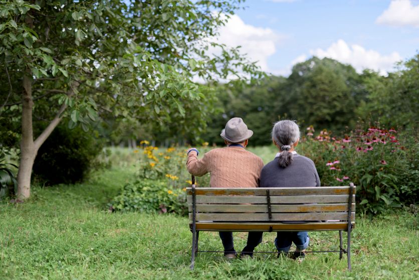 Couple de personnes agees, seniors vus de dos assis cote a cote sur un banc au milieu dÕun jardin, profitant du paysage. Critique de « Mukudori » par Aki Shimazaki