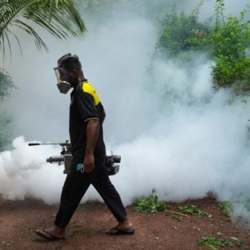 Le Sri Lanka mobilise l&rsquo;armée dans la lutte contre la dengue