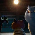 Présentation du film d’animation Disney/Pixar : Nero, chat noir