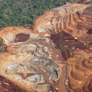 Surexploitation des ressources naturelles et conséquences