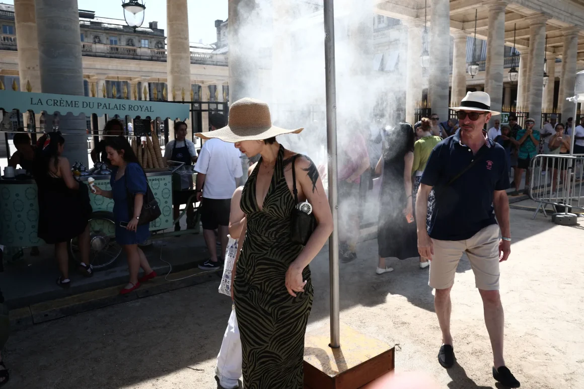 Afflux de patients aux urgences liées à la canicule en France