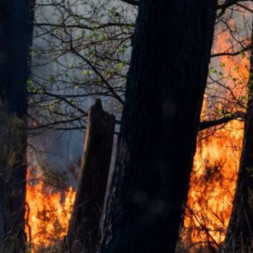 Incendies dans la Loire : trois personnes interpellées