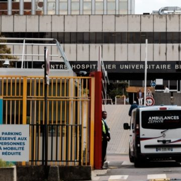 ba49a428-da81-413b-9093-93af67825595 La situation sanitaire liée à l’Hantavirus en France