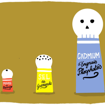 Les Risques du Cadmium dans l’Alimentation Quotidienne