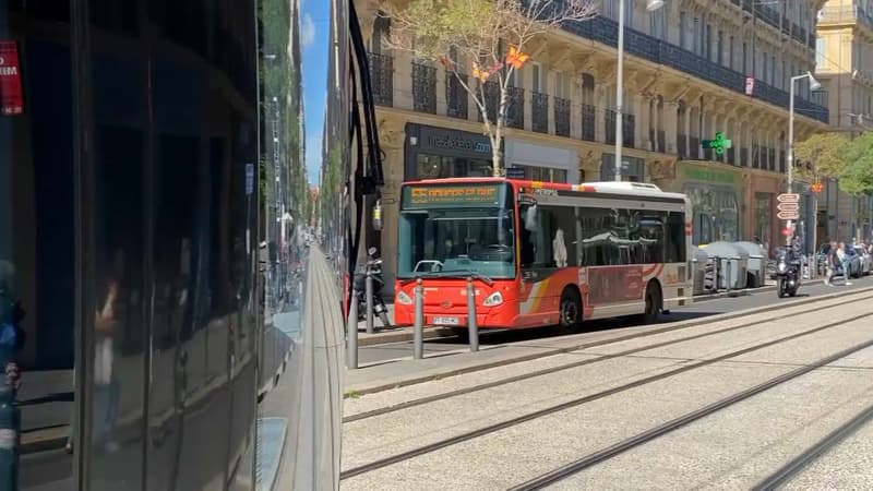 c1cb09bf-3c3a-4128-90ef-bdf4f8fa6c93 Un malaise cardiaque d’un conducteur de bus à Marseille entraîne une sortie de route