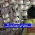 Un concours d’escalade unique à Hong Kong