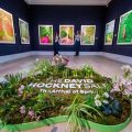 David Hockney: Un précurseur de l’art numérique avec l’iPad