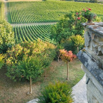 Les jardins remarquables des vignobles bordelais