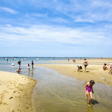 d60a0af2-5a20-4ddc-8fd1-5dfd2cb9e7ff Mesures de Sécurité en Période de Canicule pour les Activités de Baignade