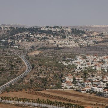 Fraude systématique sur l’origine des produits agricoles en Cisjordanie