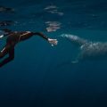 Documentaire sur Rone et les Baleines