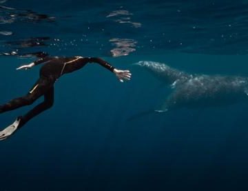 e003dd5a-c73c-4eaa-b80d-862a7f2198e2 Documentaire sur Rone et les Baleines