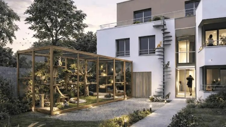 e7b7e24c-6bfa-4765-97a7-ca53c449d832 Un projet immobilier unique pour les amateurs de chats à Nantes