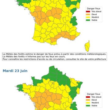 edb8d162-231c-4a92-bedd-145c7c21047f Chaleur Écrasante en Europe et en France : Impacts et Mesures