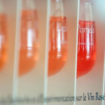 Le rosé français : un leader solide malgré la baisse du marché mondial