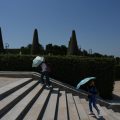 La conférence nationale du handicap reportée en raison d’une canicule exceptionnelle