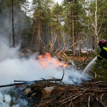 010c2e27-afb5-47f4-8435-731bd16c3975 Incendies dans la forêt de Fontainebleau : la situation sous contrôle mais critiques