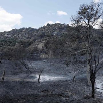 Les incendies en Espagne continuent de menacer Madrid