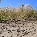 Sécheresse : La France Confrontée à une Gestion Critique de l’Eau