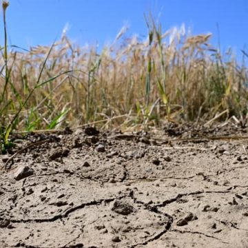 Sécheresse : La France Confrontée à une Gestion Critique de l&rsquo;Eau