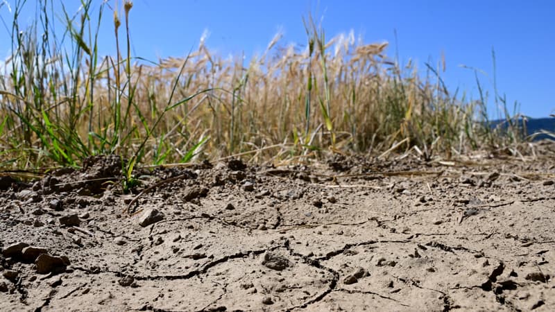 0a7943ce-5f48-49ec-850b-0bba3d7b8a1f Sécheresse : La France Confrontée à une Gestion Critique de l’Eau