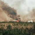 Incendies en Gironde et en Espagne: mobilisation massive et réactions politiques
