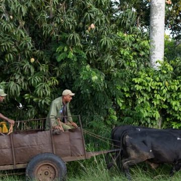 Cuba face aux défis de l’embargo pétrolier américain