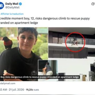Un garçon de 12 ans sauve un chien bloqué sur un balcon