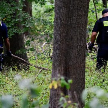 Attaque à Berlin lors de la gay pride : un suspect tué par la police