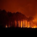 Incendies en Gironde et Var : Situation et Efforts des Autorités