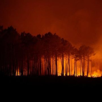 13aafc7b-a4dc-4a7b-9732-c99aa8f1e8f0 Incendies en Gironde et Var : Situation et Efforts des Autorités