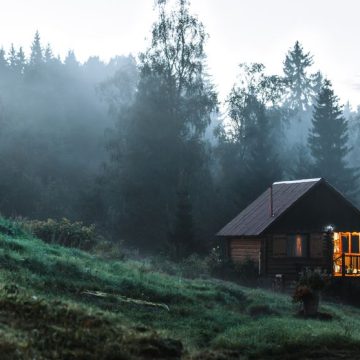 Analyse du roman Dans la forêt de Jean Hegland