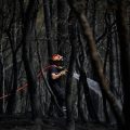 Les pompiers luttent contre les incendies dans le Var