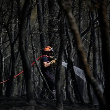 Les pompiers luttent contre les incendies dans le Var