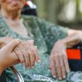 Un circuit miniature pour comprendre Alzheimer