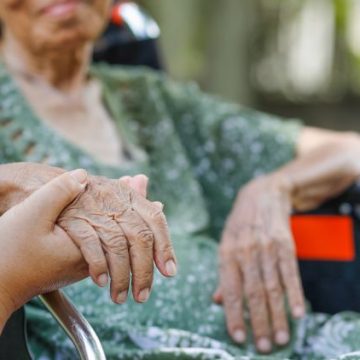 Un circuit miniature pour comprendre Alzheimer