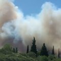 Incendie dans le Gard : situation et mesures prises