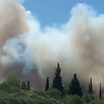 23580437-f51f-4396-805c-810885009bdc Incendie dans le Gard : situation et mesures prises