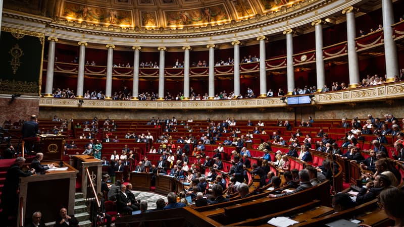 26bb4de3-4799-42d7-b5ce-64c2dfeae819 Le gouvernement invoque la Constitution pour avancer sur une loi controversée