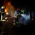 Incendies en Forêt de Fontainebleau : Situation Critique