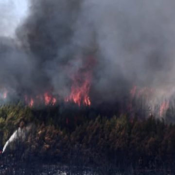 Incendie de Taradeau-Les Arcs : une origine probablement criminelle